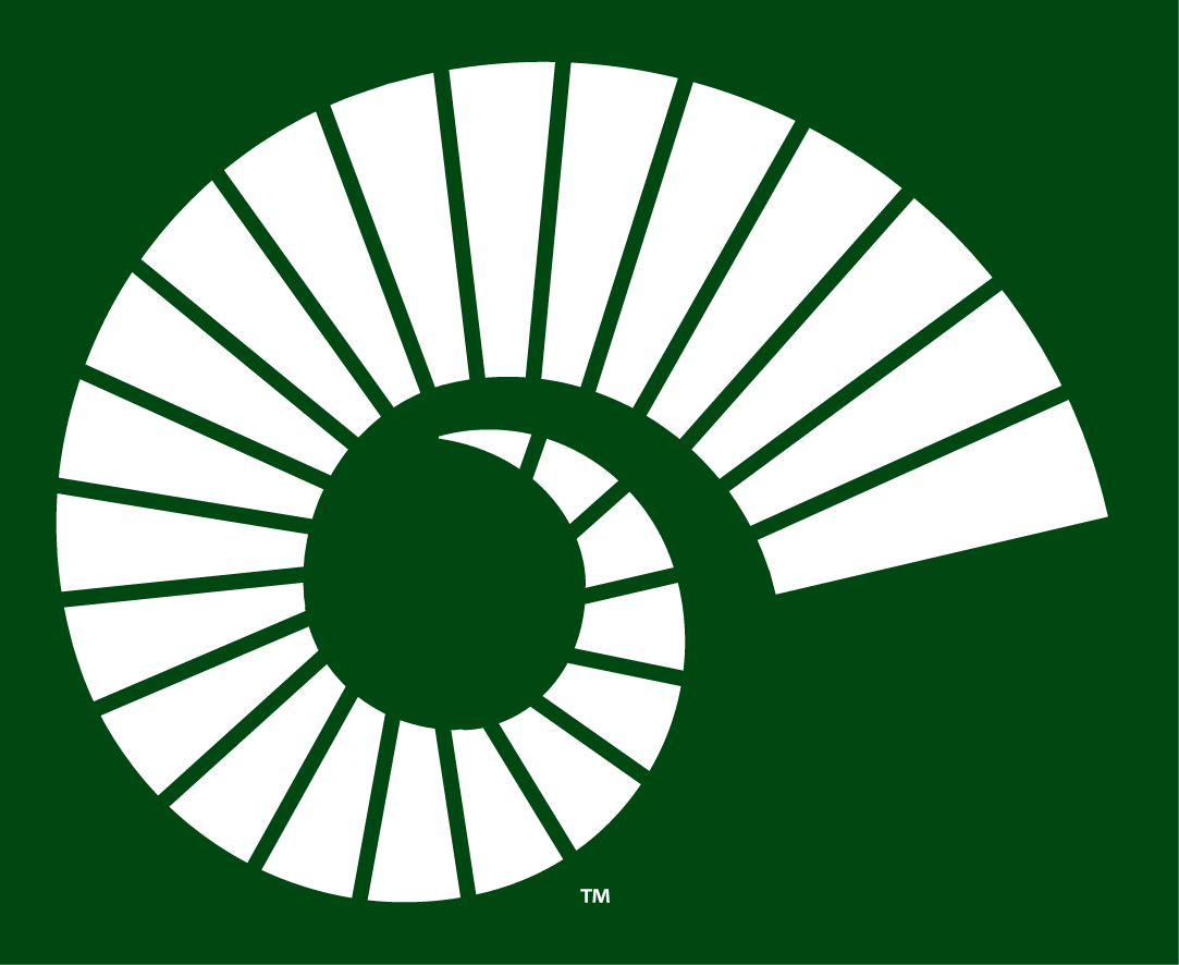 Colorado State Rams 2015-Pres Alternate Logo v3 diy DTF decal sticker